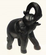 Olifant krul groot 800
